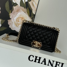 Chanel Leboy Series Bags